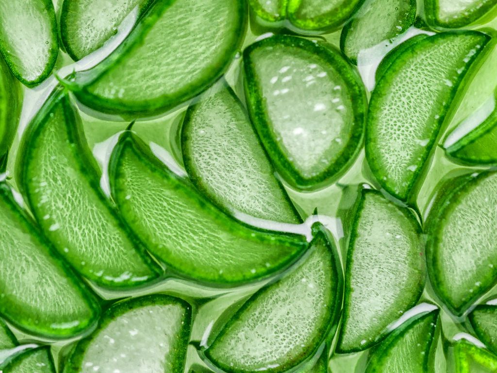 aloe vera de canarias