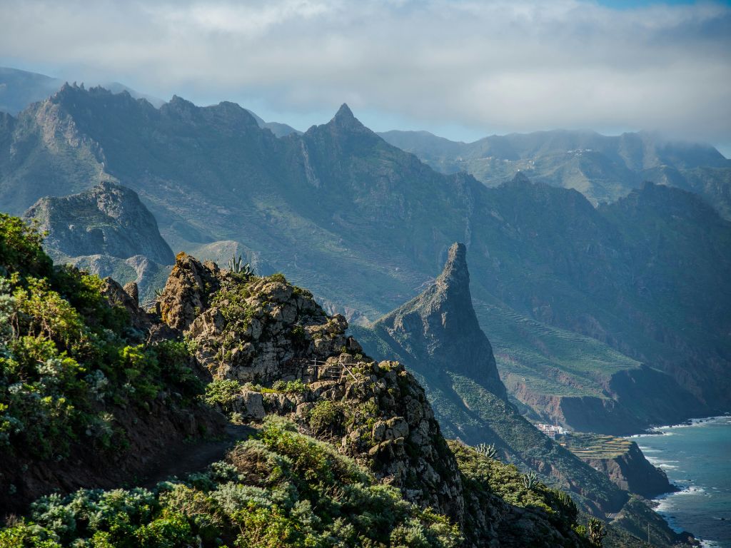 Por qué se nota la diferencia del Aloe Vera de canarias