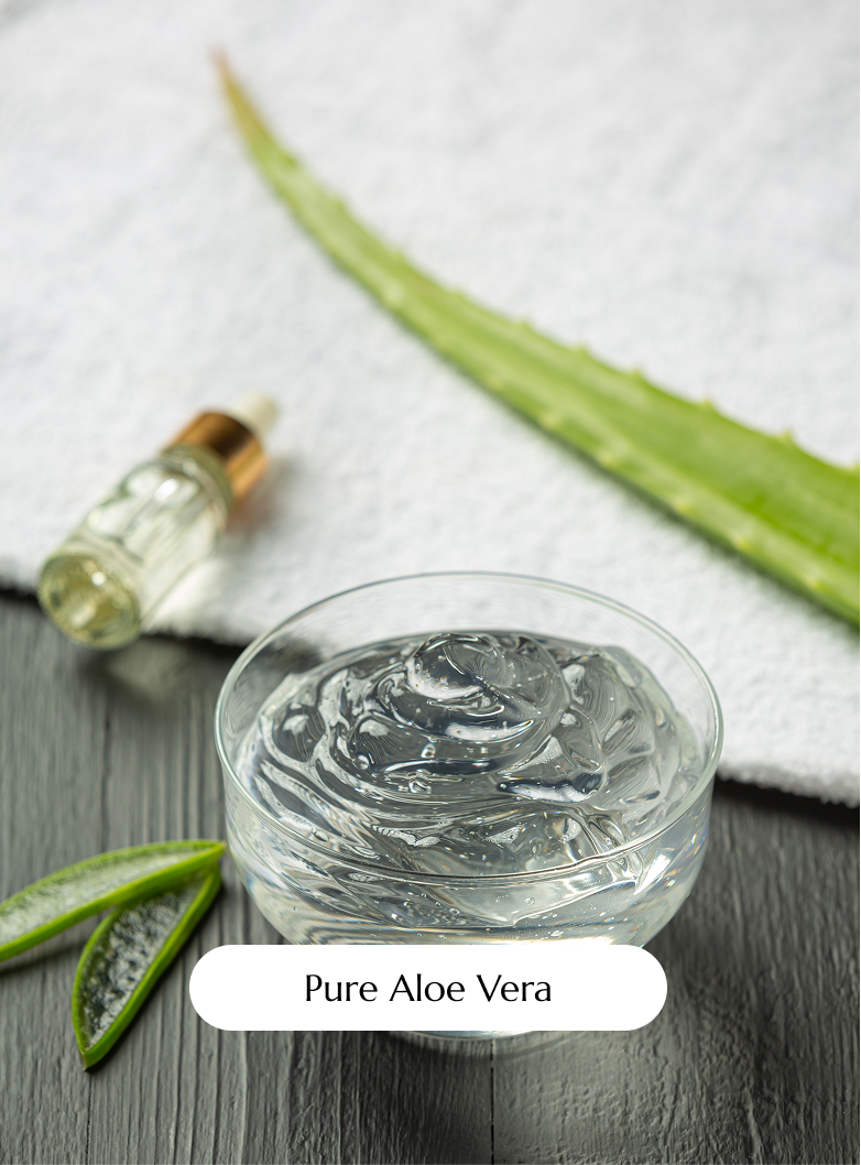 Gel puro Aloe Vera